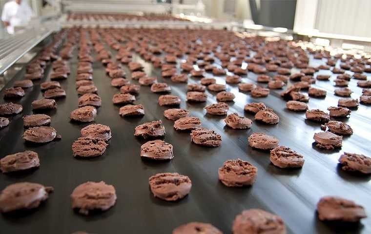 cookies on a conveyer belt