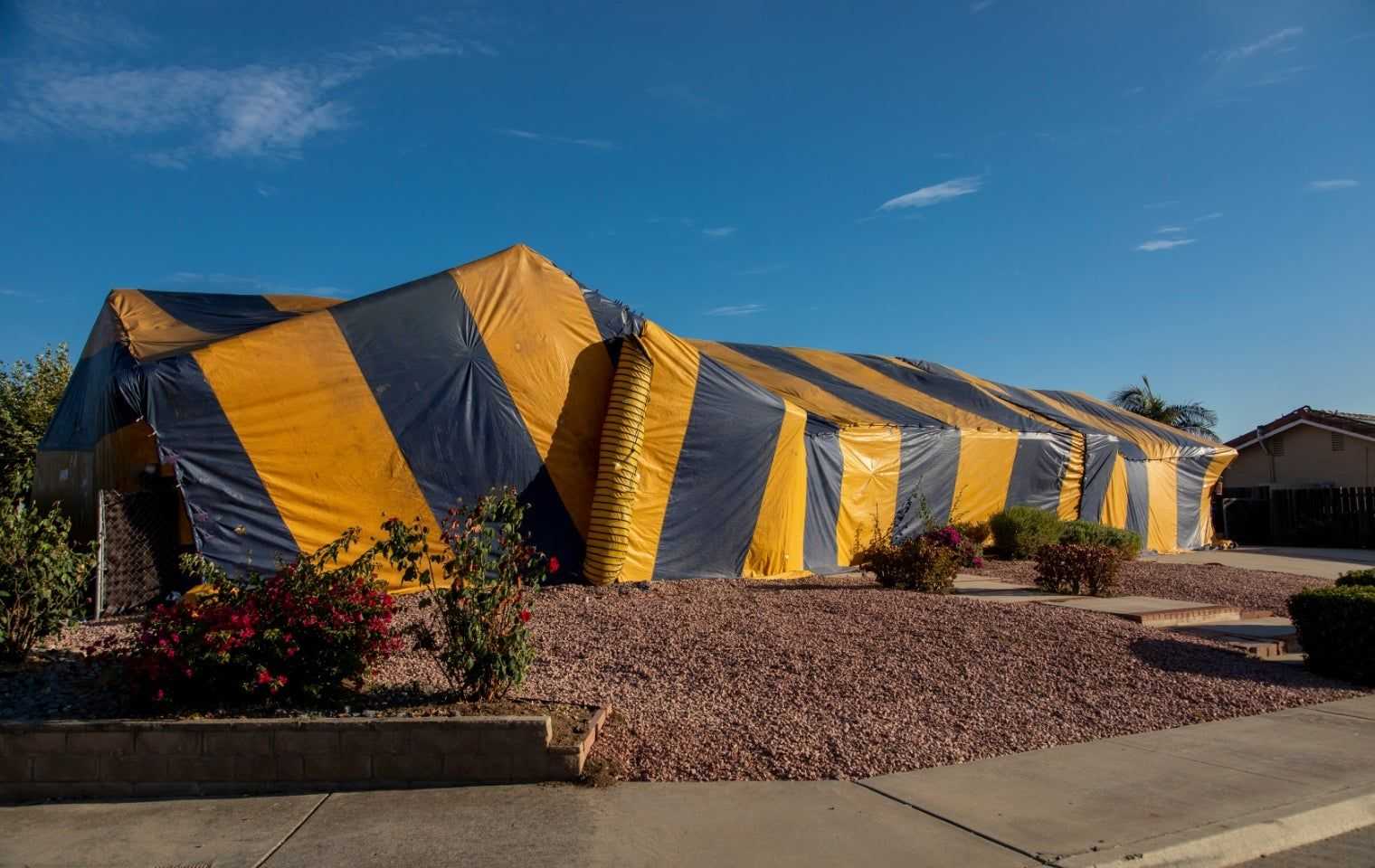 a large fumigation tent on a property