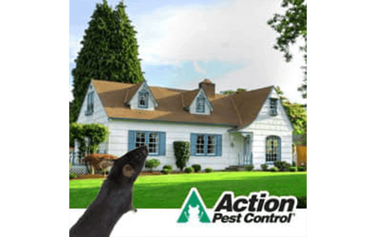 Louisville Pest Prevention