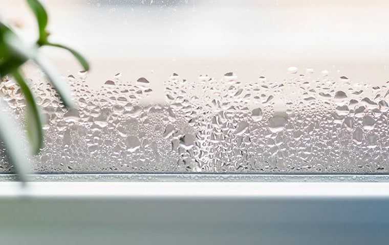 moisture inside a home