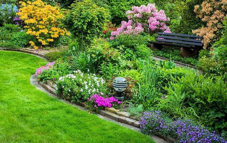landscaping with beautiful flowers