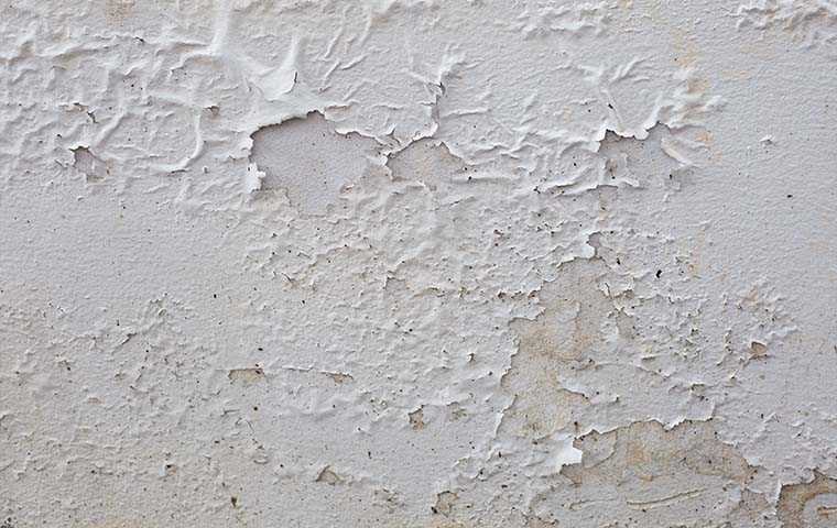 moisture damage in a home
