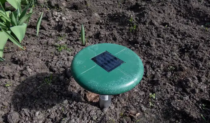 Mole Repellent System in Garden Bed