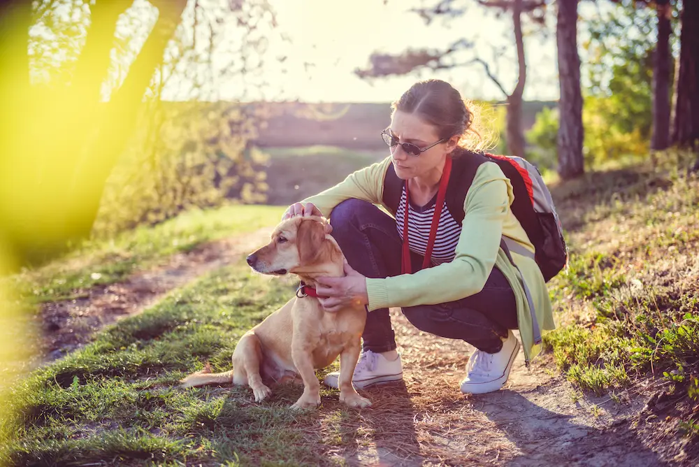 a pet owner searching her dog for ticks, outside on a hiking trail