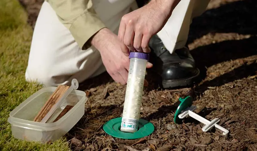 A pest control technician holds a Sentricon application tube. Action Pest Control can help prevent termites before they damage your home or business.