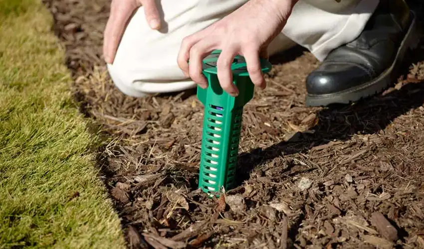 Placing a Sentricon baiting station in the ground. Action Pest Control can install Sentricons and help you get rid of termites for good.
