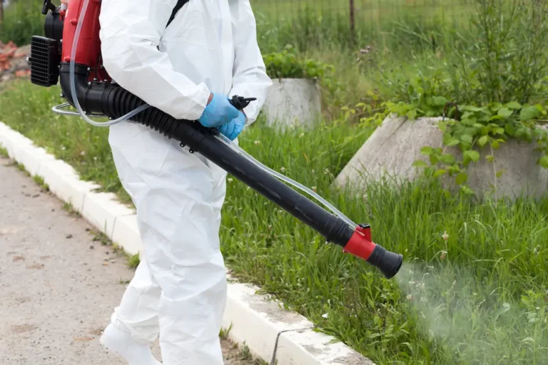 Municipal pest control worker spraying insecticide for mosquitoes