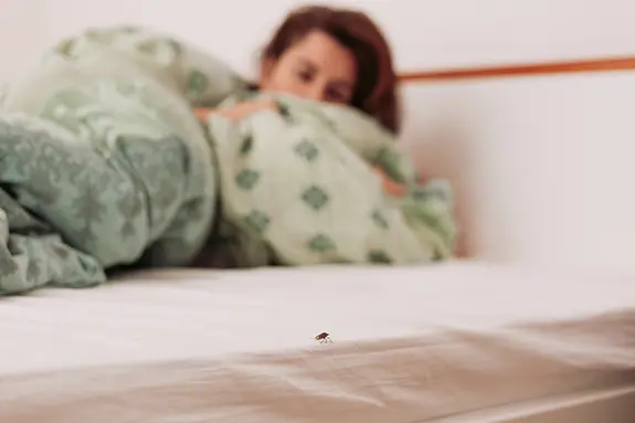Woman in shock finding bed bugs on her mattress - commercial bed bug control in Indiana, Illinois and Kentucky