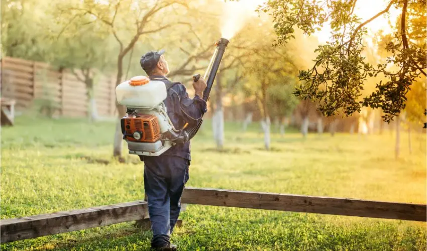 Professional pest control technician treats a yard for mosquitoes. Contact Action Pest Control for your mosquito extermination needs.