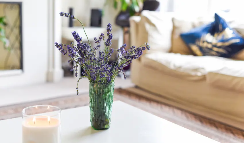 A vase with lavender in living room of a home in Indiana. Anti-repelling plants, such as lavender, can work well to keep ants away.