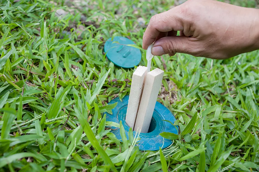 A person placing two thin wooden monitoring stakes into a green in-ground termite station in a grassy area.