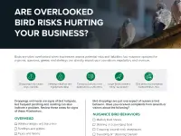 Is Your Property at Risk for Bird Damage?