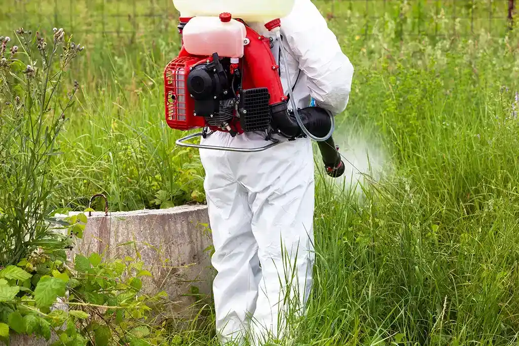 Pest control expert spraying mosquito treatment in a field with tall grass